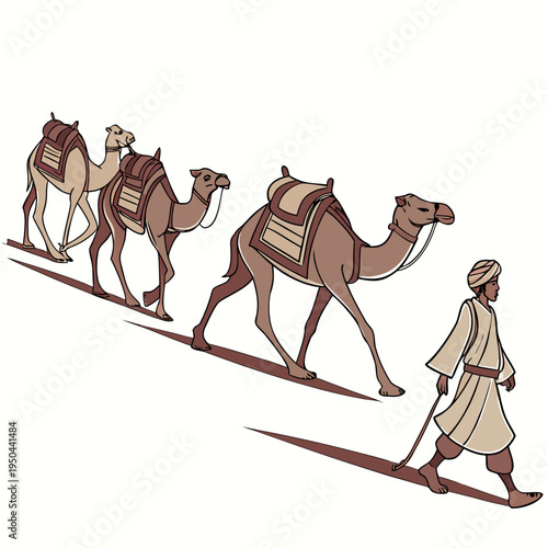 A man leads three camels on a leash