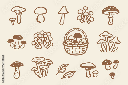 Mushroom set outline sketch vector illustration