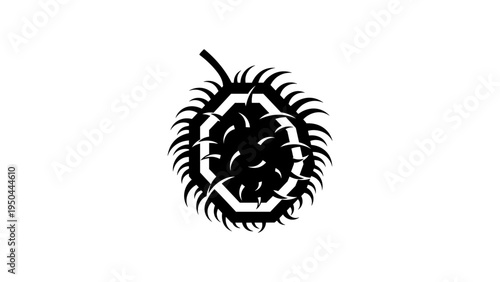 Rambutan silhouette: bold black and white spiky fruit design