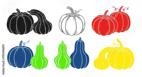 Colorful Assortment of Gourds and Pumpkins in Various Styles and Colors