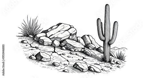 Hand-drawn desert landscape with saguaro cactus and rocks, sketch style