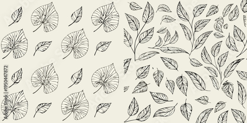Delicate botanical illustration featuring various sketched leaves and foliage