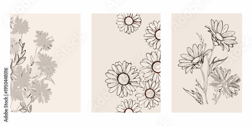 Minimalist floral triptych featuring delicate daisy illustrations in neutral tones