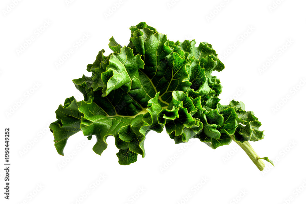 Obraz premium green salad leaves isolated on white background