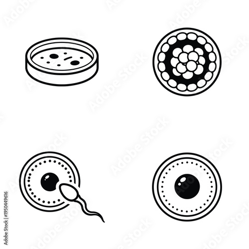 Fertilization and IVF icon set with sperm cell ovum and embryo in petri dish illustration.