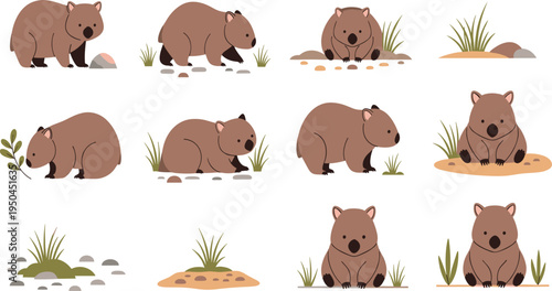 Wombat Wildlife Illustration Set Featuring Standing, Walking, Foraging, and Sitting Poses of Cute Australian Marsupial Animal in Natural Habitat.