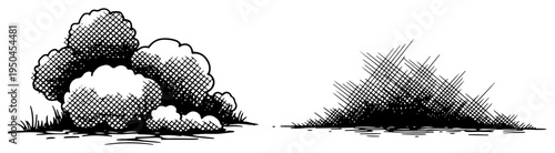 Two detailed illustrations of bushes and shrubs in vintage hand drawn engraving style