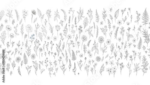 Set of detailed various flowers and foliage, intricate details and delicate forms. Hand drawn vector illustration with elegant botanical elements for invitation, save the date card