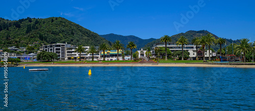 Picton Foreshore, a beach promenade in Picton lined with stately palm trees, New Zealand