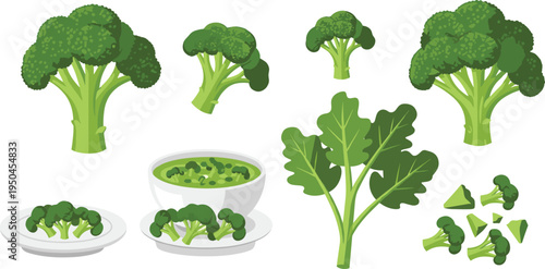 Broccoli Vegetable Collection with Fresh Broccoli, Broccoli Florets, Broccoli Soup, Steamed Broccoli, and Broccoli Leaves Vector Illustration Set