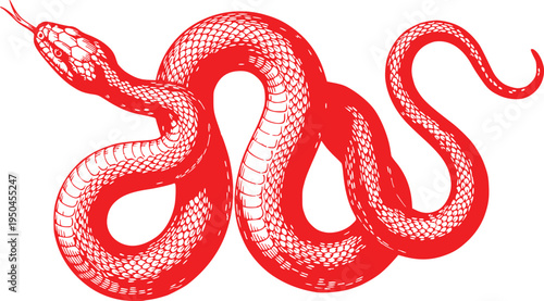Red Snake Illustration Hand Drawn Serpent Vector Art