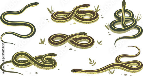 Snake Wildlife Illustration Set Featuring Slithering, Coiled, and Crawling Poses of Reptile in Natural Habitat with Grass and Ground Elements.
