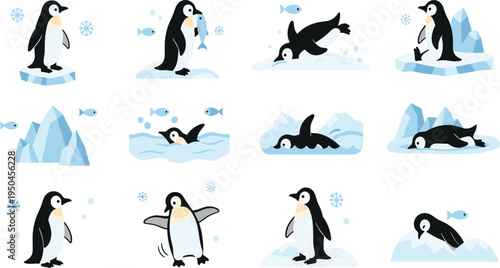Penguin Wildlife Illustration Set Featuring Walking, Swimming, Diving, and Standing Poses of Antarctic Seabird in Icy Polar Environment.