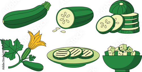 Fresh Zucchini Vegetable Collection with Whole Courgette, Sliced Zucchini Rounds, Flowering Zucchini Plant, Grilled Zucchini Plate and Diced Zucchini Bowl Vector Illustration Set