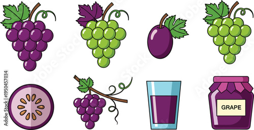 Grape Fruit Vector Collection Featuring Purple Grapes Cluster, Green Grapes Bunch, Grape Slice Cross Section, Grape Juice Glass and Grape Jam Jar Illustration