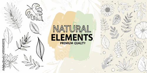 Botanical illustration with natural elements text and painted brushstrokes
