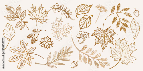 A collection of delicately drawn autumn leaves and acorns in gold tones