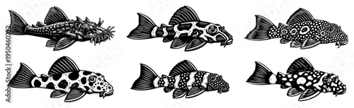 Set of six armored pleco catfish with different patterns in hand drawn style