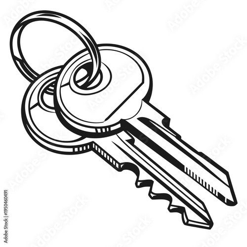 Vector illustration of a single house key on a keyring