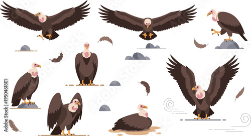 Vulture Bird Wildlife Illustration Set Featuring Flying, Perching, Landing, and Standing Poses of Scavenger Bird in Rocky Natural Habitat.