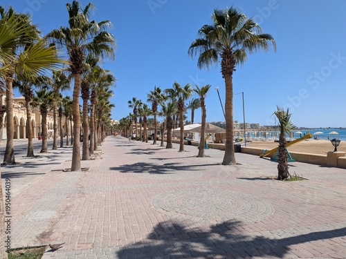 palm trees on the beach Sahl Hasheesh Red Sea Egypt