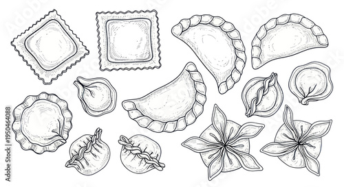 Hand-drawn Ravioli and Dumpling Variety Illustration