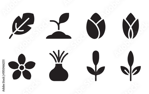 Natural plant icons set featuring organic leaf shapes and botanical seedling silhouettes on white