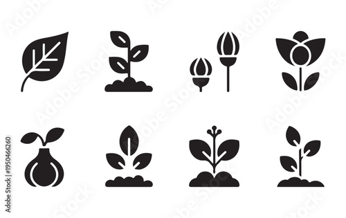 Set of black solid icons showing plant growth stages from seed to sprout, bud, and flowering plant