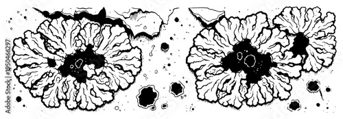 Organic lichen and moss textures in hand drawn woodcut engraving style