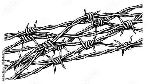 Detailed hand drawn ink illustration of sharp intertwined barbed wire strands