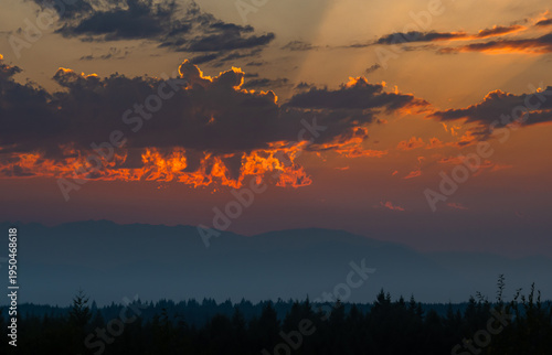 Sun setting over the Olympic Mountains casting a warm orange glow on the clouds above a silhouetted forest