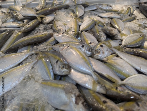 фотографія Fresh yellowstripe scad fish on ice at a traditional fish market
