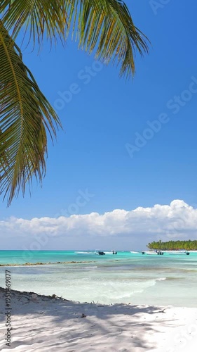 Beach scene with coconut palm trees close to Caribbean sea. Tropical paradise. Nobody