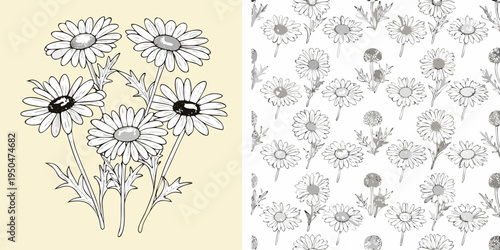 Floral pattern featuring sketched daisies on a pale yellow background