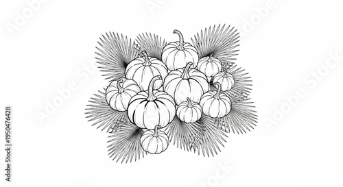 A clustered arrangement of various sized pumpkins surrounded by spiky leaves in a line drawing