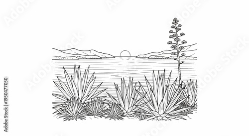 Line art landscape with agave plants and sun setting over water