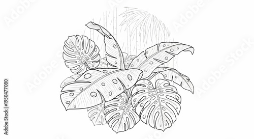 Lush tropical foliage with monstera and banana leaves in a line drawing