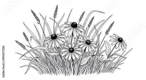 Black and White Sketch of Wildflowers and Grasses