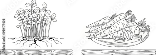 Seedlings sprout from soil beside carrots on a plate and wooden planks
