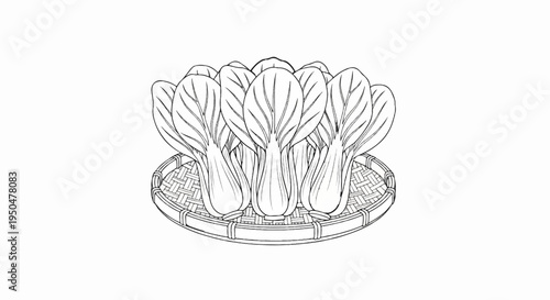 A line art drawing of bok choy on a woven tray