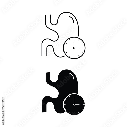 Stomach and clock for digestion time and metabolism showing internal organ anatomy and health concept as icon vector illustration set