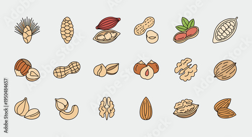 Comprehensive collection of flat line icons representing various types of edible nuts, seeds, and cocoa pods.