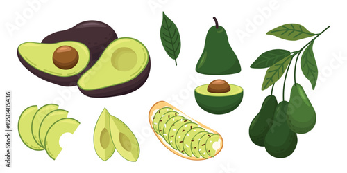Avocado collection with whole fruit halves slices avocado toast leaf and avocado branch showing healthy organic food flat vector illustration isolated on light background