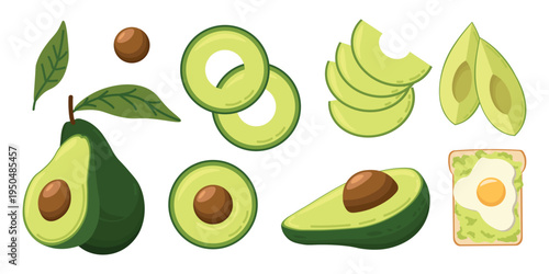 Avocado illustration set with whole fruit halves slices seed leaf and avocado toast with egg healthy organic food