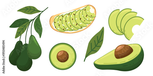 Avocado fruit vector set with hanging avocados branch leaves sliced pieces half with seed and avocado toast healthy food