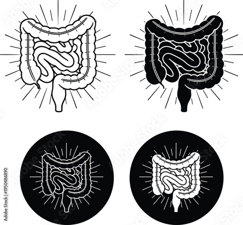 Human intestine anatomy icons set, digestive system gut illustration collection, medical organ symbols isolated black and white vector design