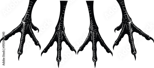 Bird claw silhouettes collection, eagle and chicken talon feet set, animal predator claws isolated black vector illustration design