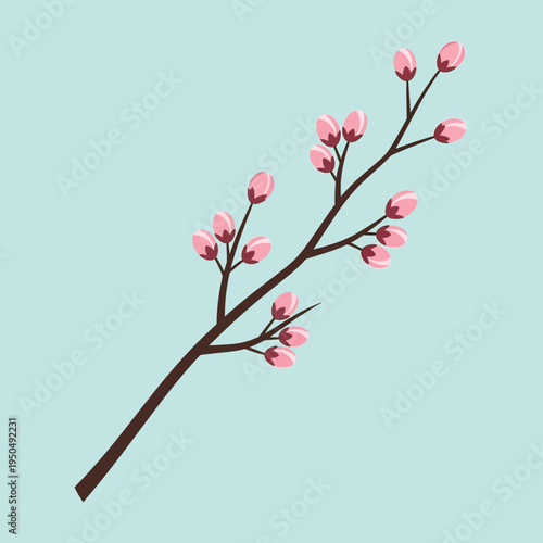 Pink Cherry Blossom Branch Buds on Light Blue Background