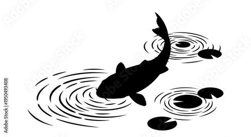 Koi fish swimming in pond, ripple effect