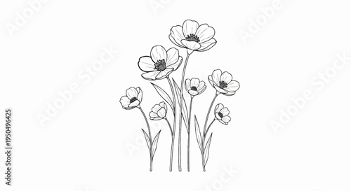 Delicate line drawing of a cluster of delicate, open-faced flowers